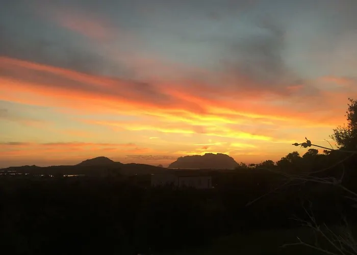 Casa Murta Maria Olbia